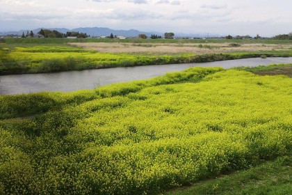 佐山製作所栃木工場周辺の河原